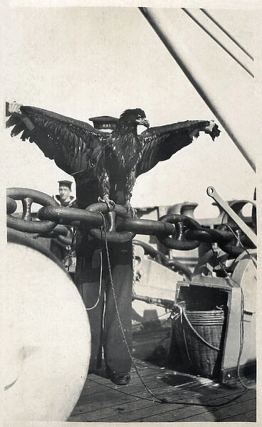Aircraft carrier HMS Eagle with mascot