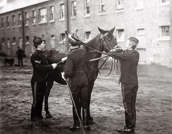 British army breaking young cavalry horse 3rd Hussars