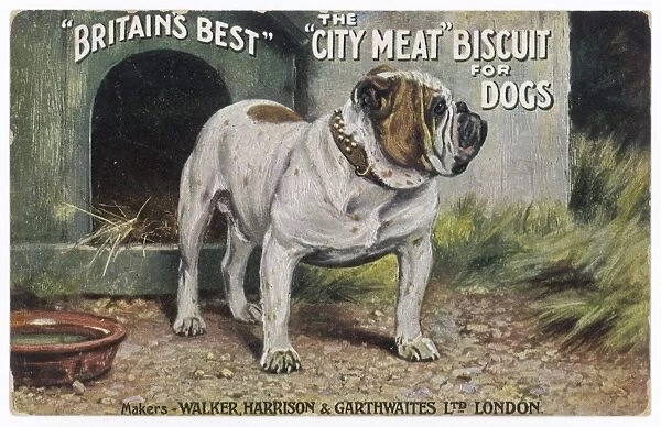 City Meat Dog Biscuit Ad