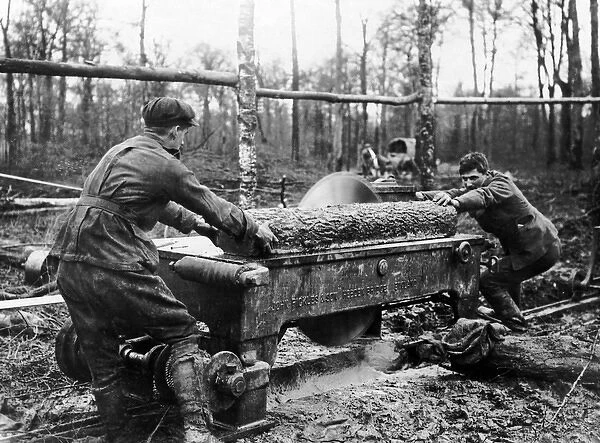 Cutting log at new sawmill, Western Front, WW1