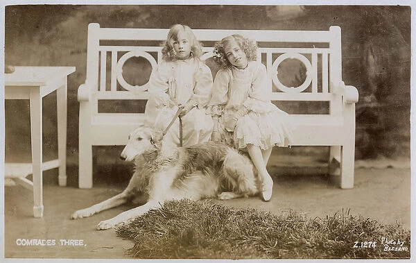 Two girls on bench with large dog