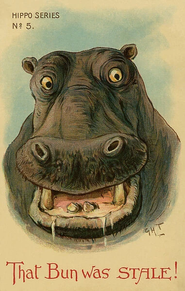 Hippo. Humorous drawing of a hippo. That bun was STALE