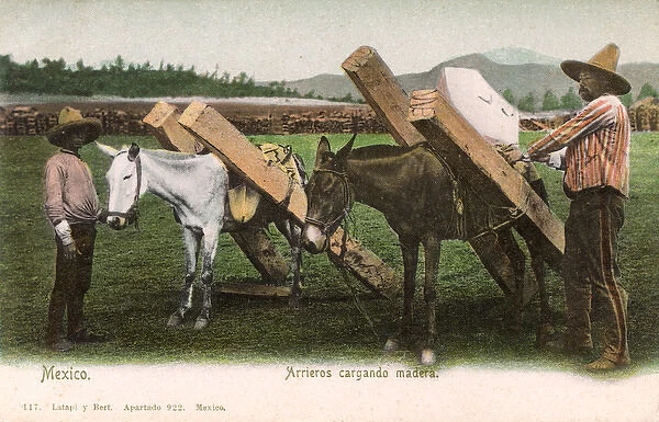 Loading timber-carrying Mules - Mexico