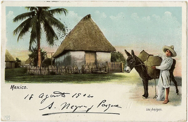 Mexico - Indigenous Village Scene - Young boy and his donkey