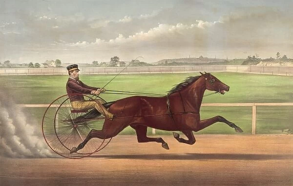 Mr. Bonners horse Joe Elliott, driven by J. Bowen: trotting