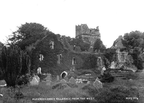Muckross Abbey, Killarney, from the West