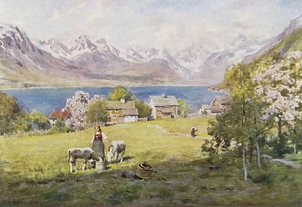 Norway  /  Romsdal 1914
