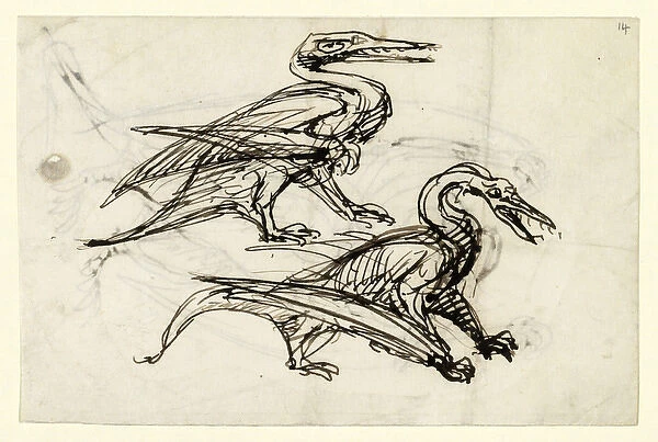 Pen & ink sketch of pterodactyl