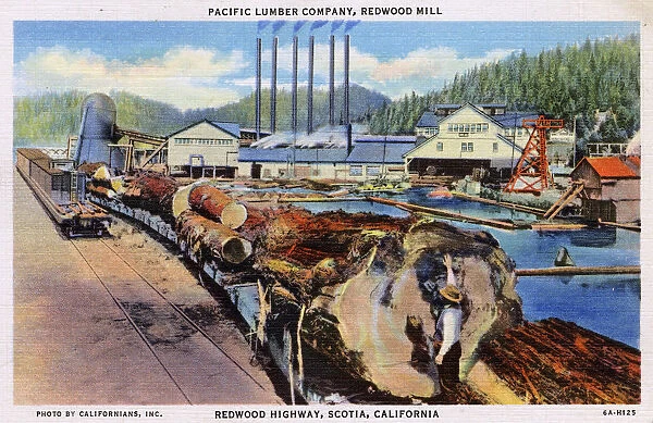 Redwood Highway, Scotia, California - Pacific Lumber Company