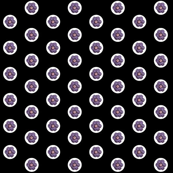 Repeating Pattern - Purple Flowers - Black Background