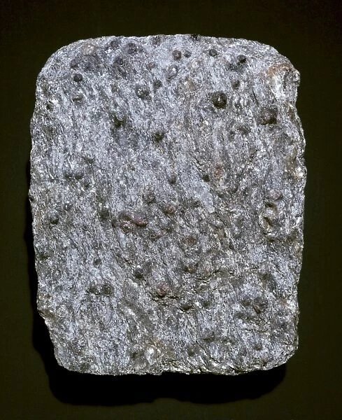 Schist. A garnet schist from Moidart, Scotland