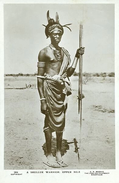 A Shilluk Warrior - Upper Nile, Sudan, Africa