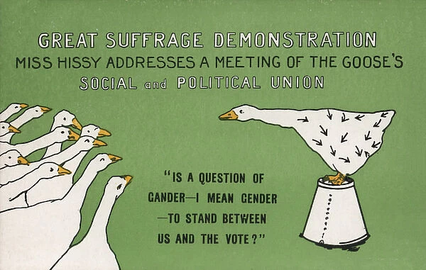 Suffragette Geese Miss Hissy