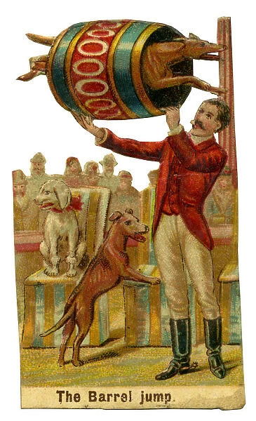 Victorian scrap, Circus dogs in barrel jump