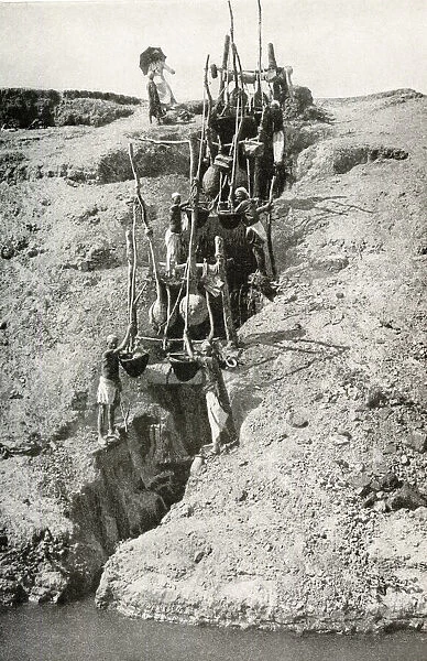 Water supply using a shaduf, Egypt