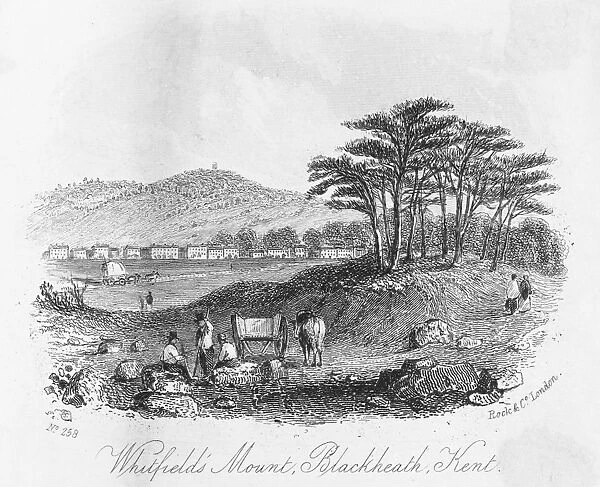Whitfields Mount