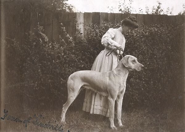 Woman with a Great Dane in a garden