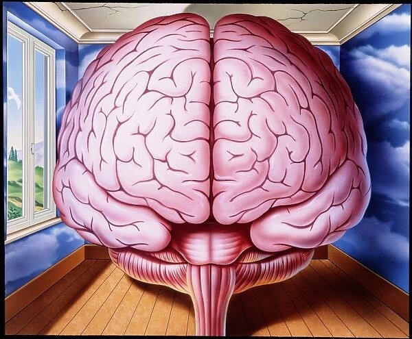 Artwork of human brain enclosed in dream-like room