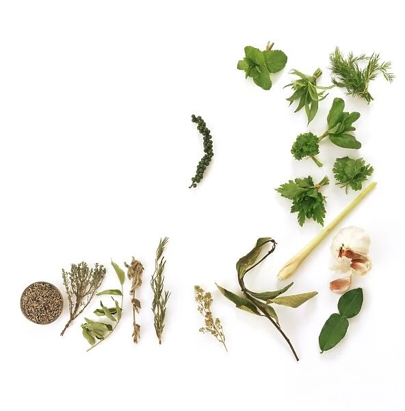 Assortment of herbs
