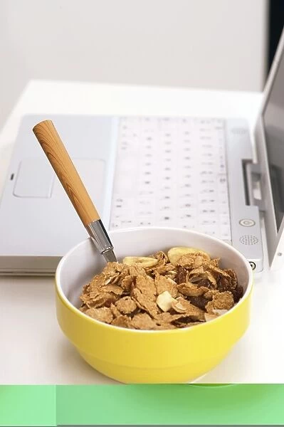 Bowl of cereal C013  /  4905