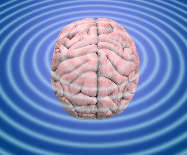 Brain waves, conceptual image