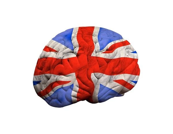 British brain, conceptual artwork F008  /  3545