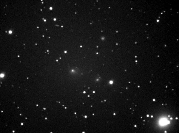 Comet 2008 J1 (Boattini), May 2008