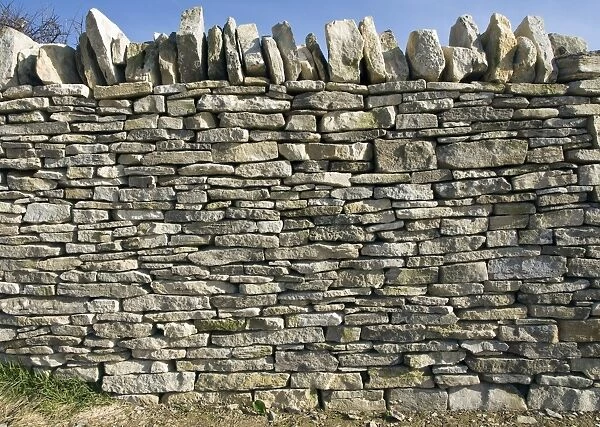 Dry stone wall, Dorset
