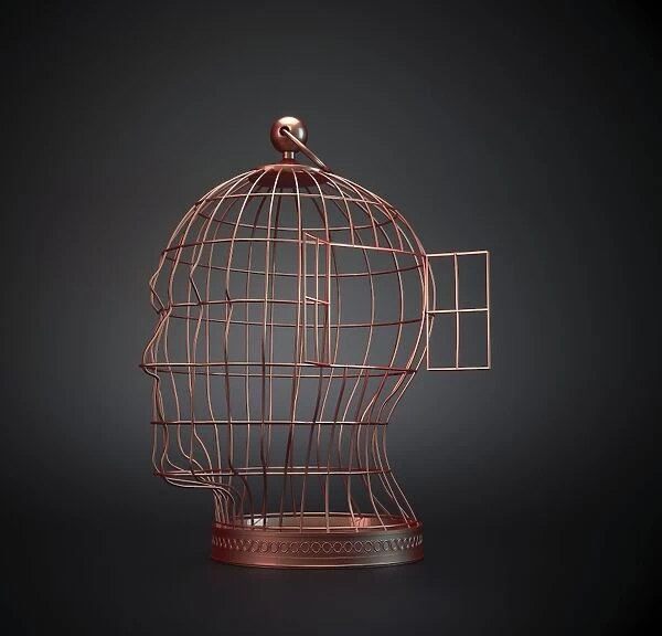 Head-shaped cage, artwork F006  /  3826