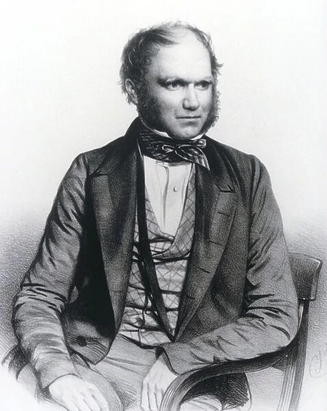 Lithograph of Charles Darwin aged 40