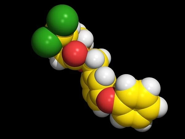 Permethrin insecticide molecule