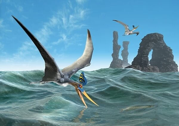 Pteranodon catching fish, artwork