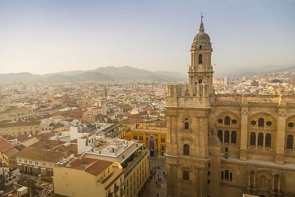 Elevated view of Malaga Cathedral, Malaga, Costa del Sol, Andalusia, Spain, Europe