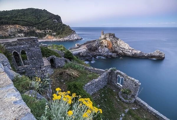 Flowers and blue sea frame the old castle and church at dawn, Portovenere, UNESCO