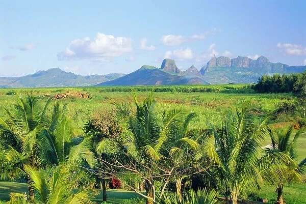 Mauritius, scenic in the North West region of the island