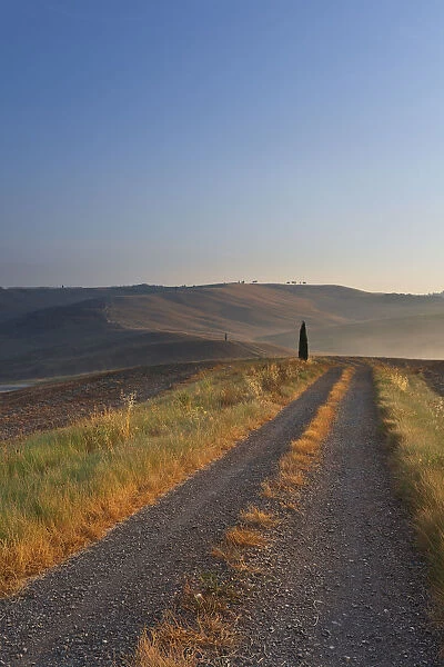 Italy, Tuscany, Siena district, Orcia Valley, countryside