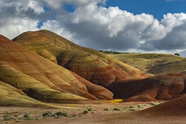 USA, Pacific Northwest, Oregon, Wheeler County, John Day Fossil Beds, National Monument