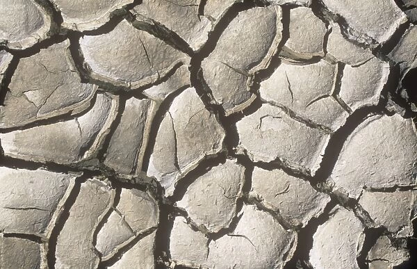 Mud cracks on a reservoir shore during a summer drought. Many areas of the world are suffering more frequent droughts and water shortages due to climate