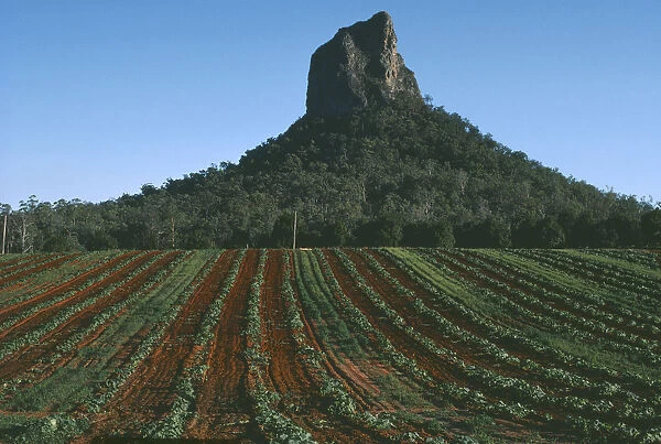 10073075. AUSTRALIA Queensland Mount Coonowrin Cultivated land with trees