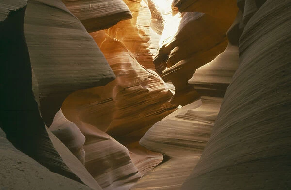 20004428. USA Lower Antelope Canyon Canyon walls eroded into curved shapes