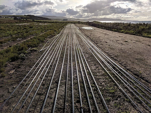Seawater irrigation pipework runs along the ground on an experimental farm on the west