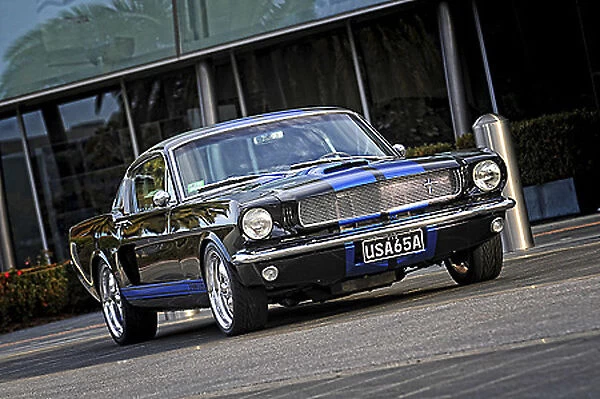 1965 Ford Mustang Fastback - Spicehecker 501 Base Black with Rally Blue