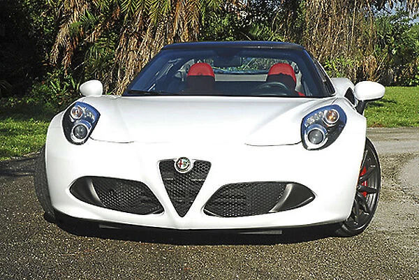 Alfa Romeo 4C Spider, 2015, White
