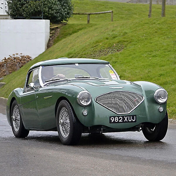 Austin Healey 100M, 1955, Green, metallic