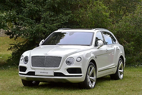 Bentley Bentayga 2016 White