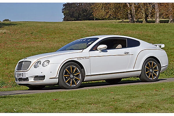 Bentley Continental GT Coupe 2004 White