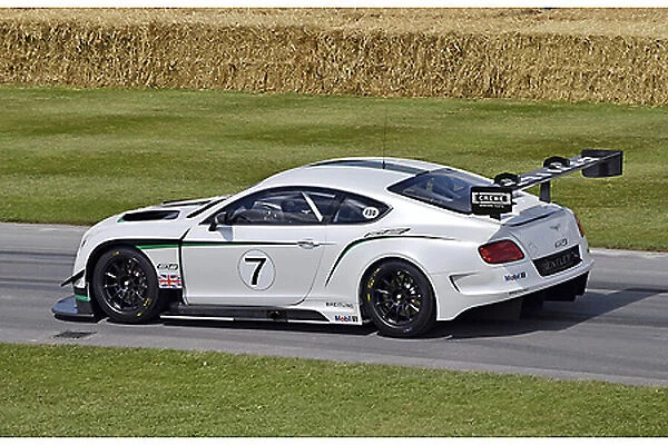 Bentley Continental GT3 (racecar) 2013 White & black