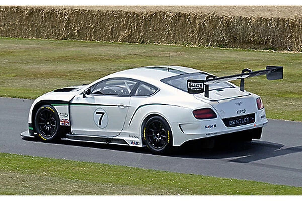 Bentley Continental GT3 (racecar) 2013 White & black
