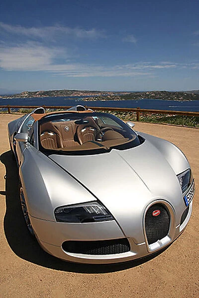 Bugatti Veyron Grand Sport 2009 silver