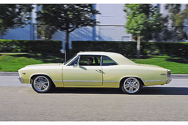 Chevrolet Chevelle (Custom) 1967 Yellow light